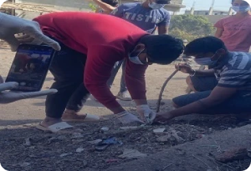 Tree Plantation by Volunteers